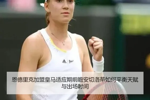 en-de-li-ke-jia-meng-huang-ma-shi-ying-qi-qian-zhan-an-qie-luo-di-ru-he-ping-heng-tian-fu-yu-chu-chang-shi-jian-2-175.jpg